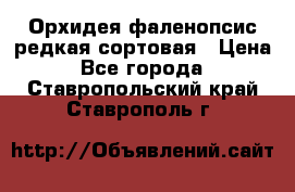 Орхидея фаленопсис редкая сортовая › Цена ­ 800 - Все города  »    . Ставропольский край,Ставрополь г.